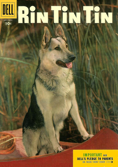 Rin Tin Tin #10