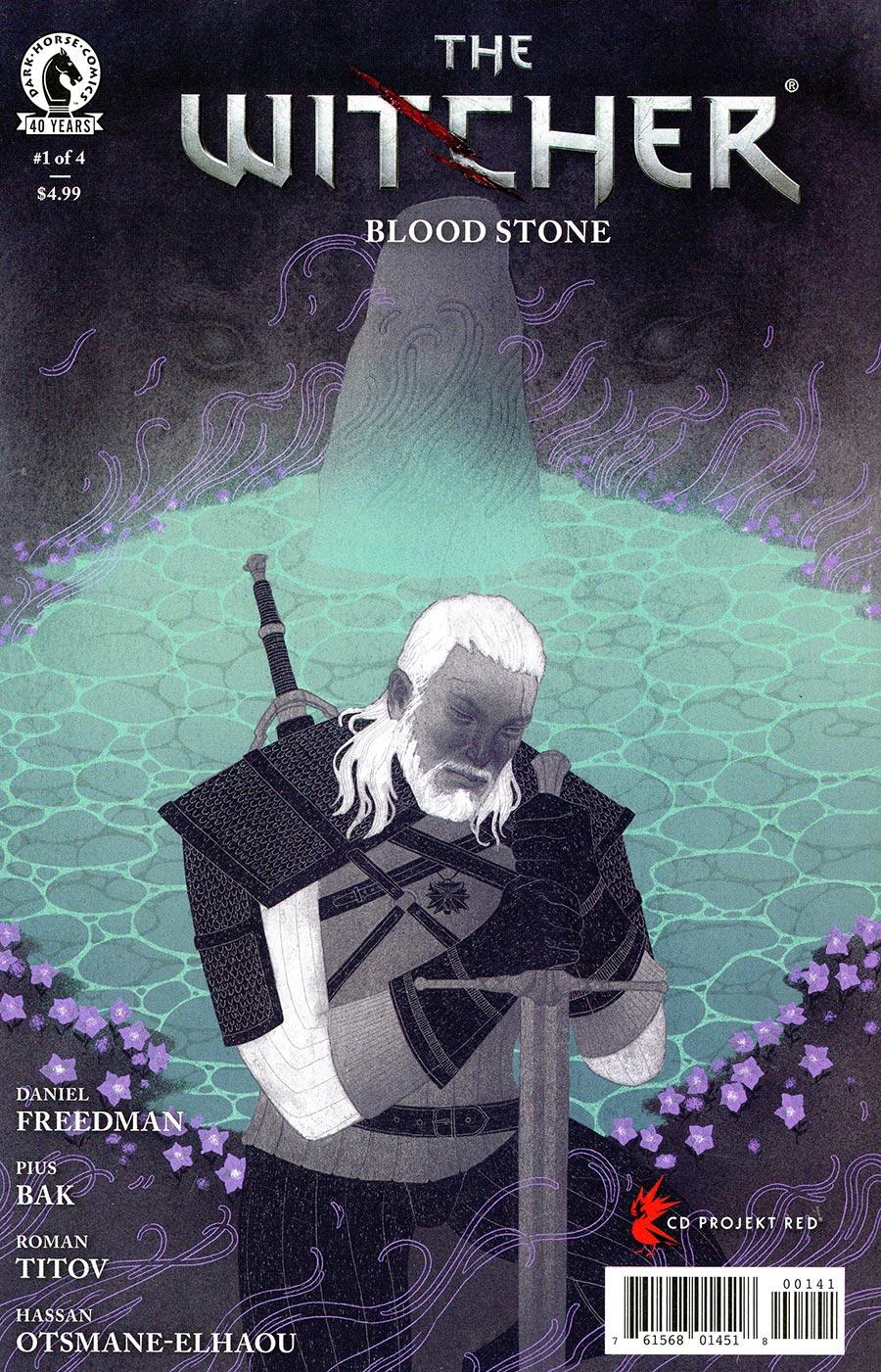 The Witcher Blood Stone #1